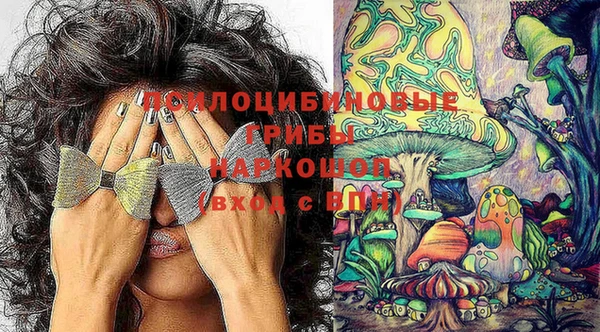 круглые Алексеевка
