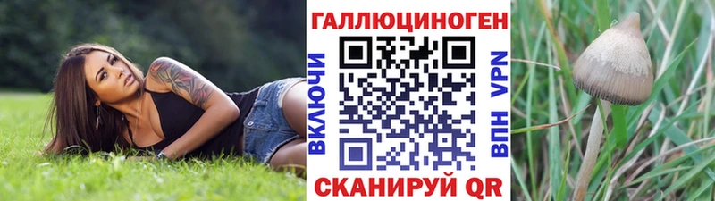 OMG ТОР  Нязепетровск  Галлюциногенные грибы GOLDEN TEACHER  купить закладку 